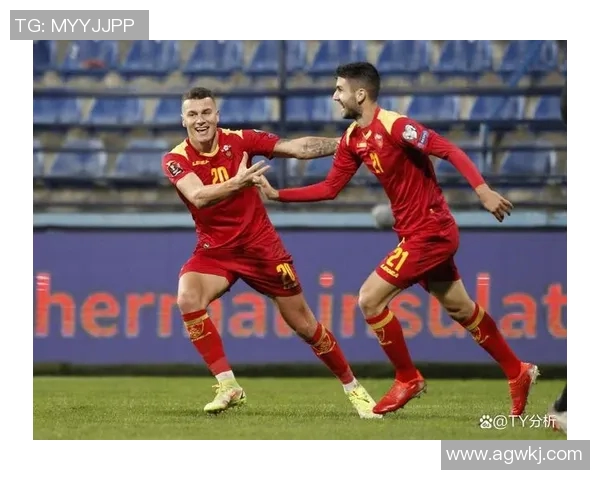 丹麦与黑山激战正酣比赛结果揭晓引发热议